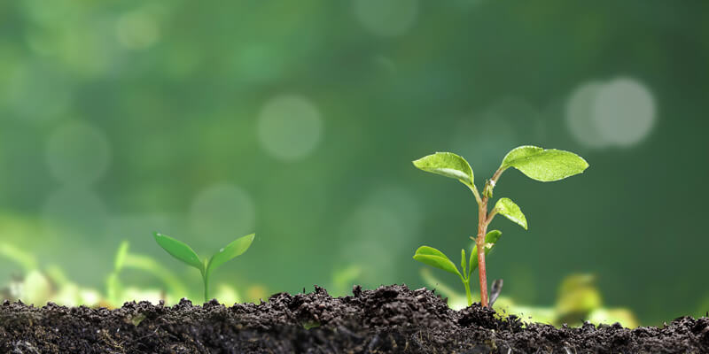 农业与土壤检测