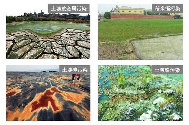 土壤重金属污染的主要原因有哪些