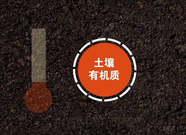 测定土壤有机质需要注意哪些问题
