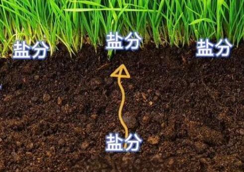 土壤盐分单位g/L和ms/cm区别
