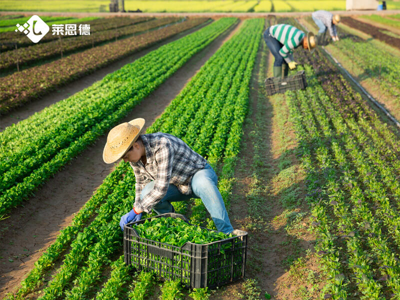 土壤PH检测仪怎么选靠谱？莱恩德实测优势详解