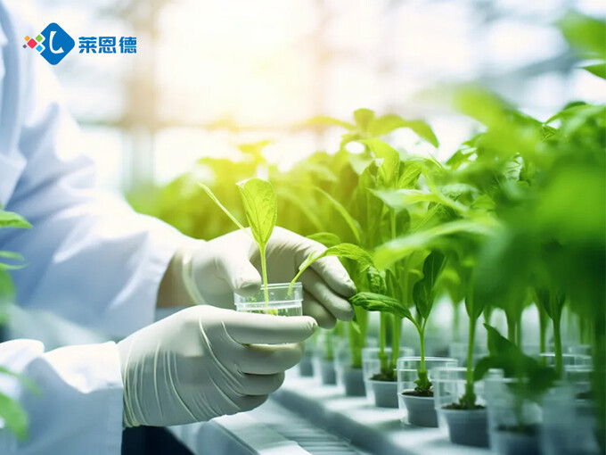 拍照式叶面积仪如何选 高校实验室准确测量新方案