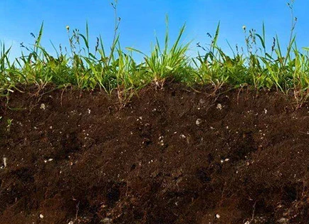 土壤肥力四要素是指的什么？（土壤肥力的四个指标）