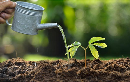 测土施肥仪器如何测肥料养分？莱恩德测土仪