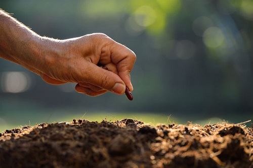 土壤养分快速测定仪使用方法(莱恩德土壤检测仪)