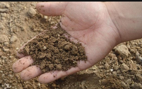 土壤重金属检测样品前处理流程详解